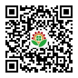 自動鉄弗龍成型機